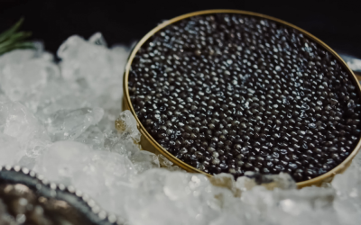Seafood Excellence: How to Choose the Finest Seafood and Premium Caviar